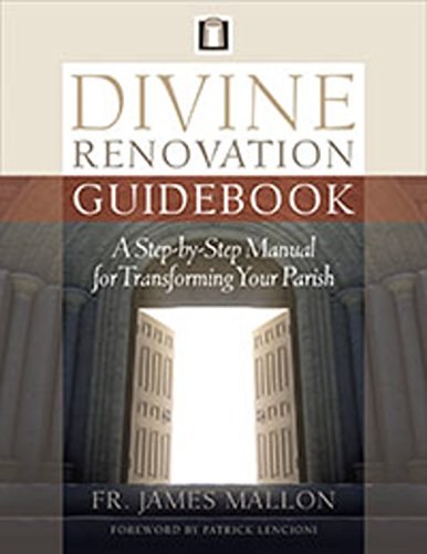 Divine Renovation Guidebook