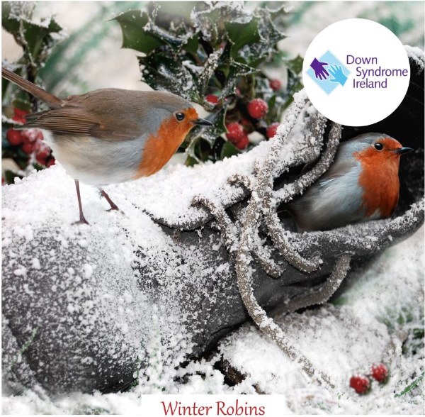 Winter Robins Charity Card