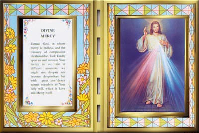 Divine Mercy Glass Plaque (25x 18cm)