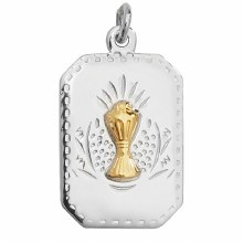 Rectangle First Holy Communion Medal