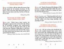 Additional picture of Will You Help Me?: Handbook of Devotion to Divine Mercy