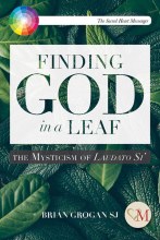 TOS - Finding God in a Leaf Mysticism of Laudato