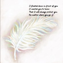 Where You Go Feather Greeting Card