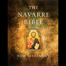 Navarre Bible: New Testament, large, hardback