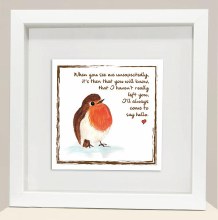 RC007 To Say Hello Red Robin frame