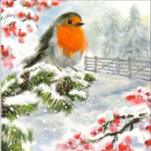 12 St Vincent de Paul Robins in Snow Charity Card