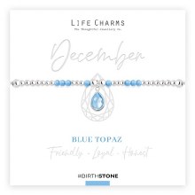 Additional picture of December birthstone - Life Charm Bracelet