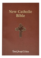 New Catholic Bible, Large Type, Brown, paperback