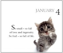 Additional picture of 365 Days with My Bossy Cat Calendar