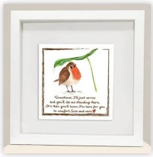 Red Robin Love and Care Frame