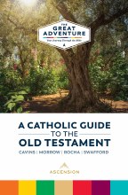 Additional picture of Catholic Guide to the Old Testament