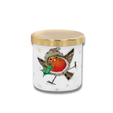 Christmas Bug Art Robin Candle