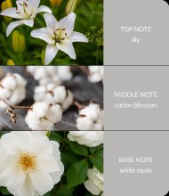 Additional picture of Cotton Blossom Essential Oil Blend