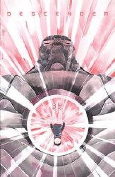 Descender #19 (Mr) Descender #19 (Mr)