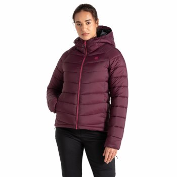 Dare2b Women's Torrek Mountain Baffled Jacket Fig Size 10