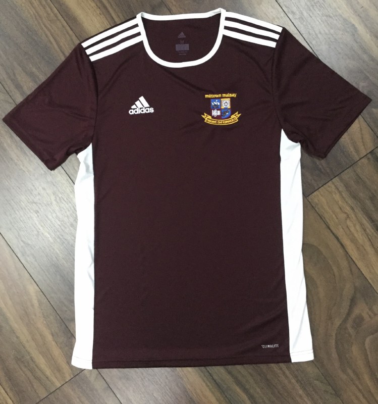 adidas entrada tee