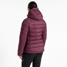 Additional picture of Dare2b Women's Torrek Mountain Baffled Jacket Fig Size 10