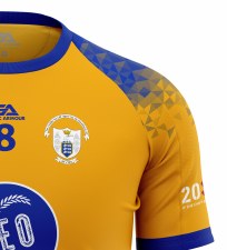 Additional picture of Gaelic Armour Clare Ladies Home Jersey (Royal Amber) Age 7-8