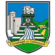 Additional picture of Limerick Flag Crested 5X3 Half & Half