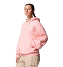 Additional picture of Columbia Women's Aldermore™ Hoodie Pink Size XS