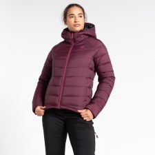 Additional picture of Dare2b Women's Torrek Mountain Baffled Jacket Fig Size 10