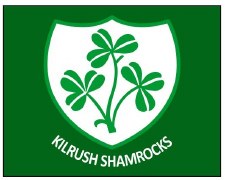 Additional picture of CS Kilrush Shamrocks Training Jersey (Green White) 10-11