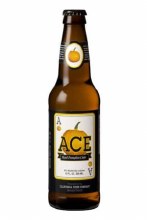 Ace Pumpkin Craft CIder 12oz Bottle