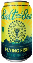 Flying Fish Salt and Sea Session Sour Ale 12oz Can