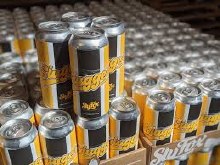 Sly Fox Slugger Pilsner 16oz Can