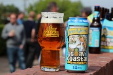 Sweet Water Goin Coastal IPA with Pineapple 12pk 12oz Cans