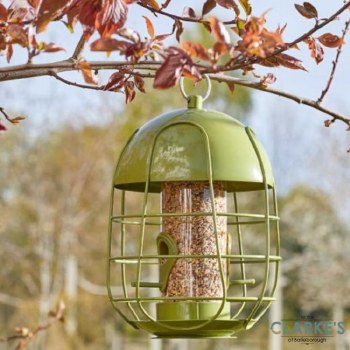 Acorn Squirrel Proof Seed Birds Feeder