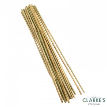 Bamboo Canes - 90cm | Bundle of 20