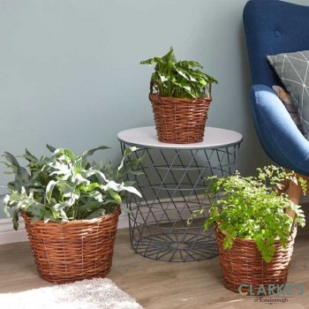 Decor Trio | Rattan Set of Baskets
