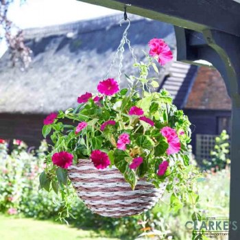 Duet - Flower Planting Basket 14"