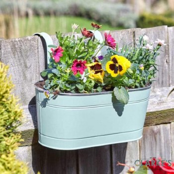 Fence and Balcony Hanging Sage Planter 12"