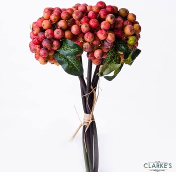 Rustic Berry Bunch Orange