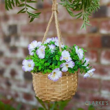 Hanging Basket Bouquet Purple