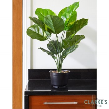 Leopard Lily - Faux Indoor Plant 70cm