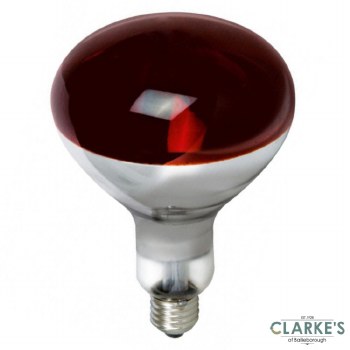 Moy E27 Infrared Heat Bulb 250W