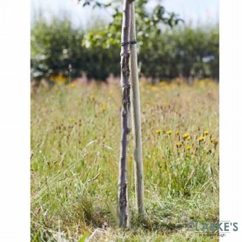 Round Tree Stake 1.2m x 3.5cm