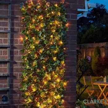 Solar In-Lit 75 LED Ivy Trellis 180 x 90cm