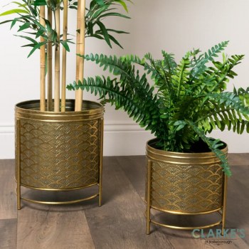 Algarve Planters Gold