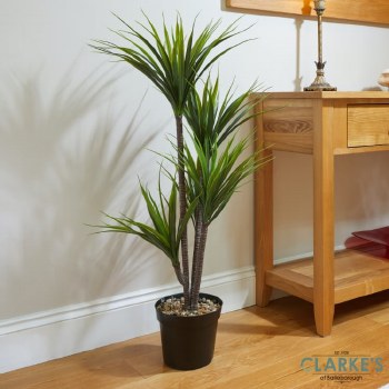 Dragon Tree - Faux Indoor Plant 105cm