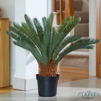 Sago Palm - Faux Indoor Plant 68cm