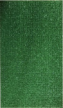 AstroTurf Mat 40x70cm