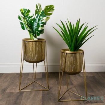 Aztek Planters Gold