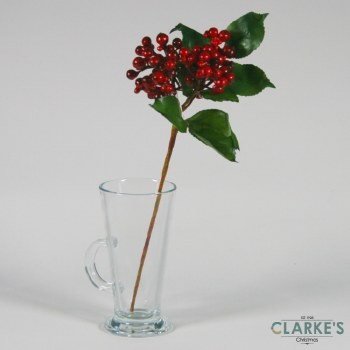 Berry Cluster Red
