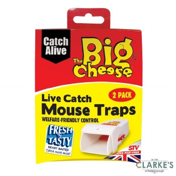Big Cheese Live Catch Mouse Trap