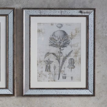 Botanical Study Art