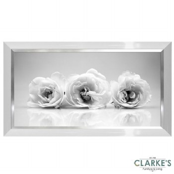 Roses - Framed Wall Art 62 x 112 cm